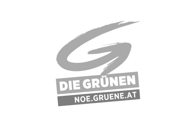 new story academy firmen die gruenen