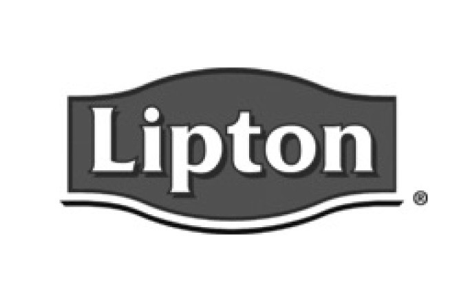 new story academy company lipton