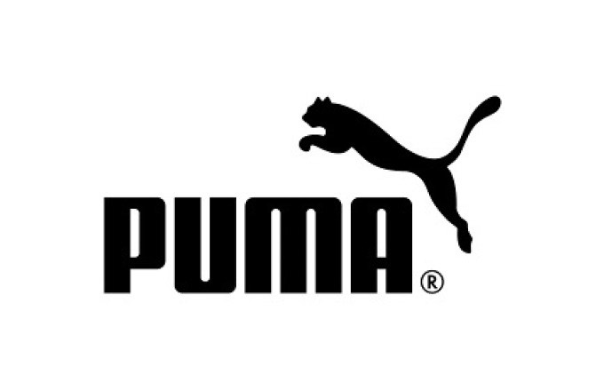 new story academy company puma