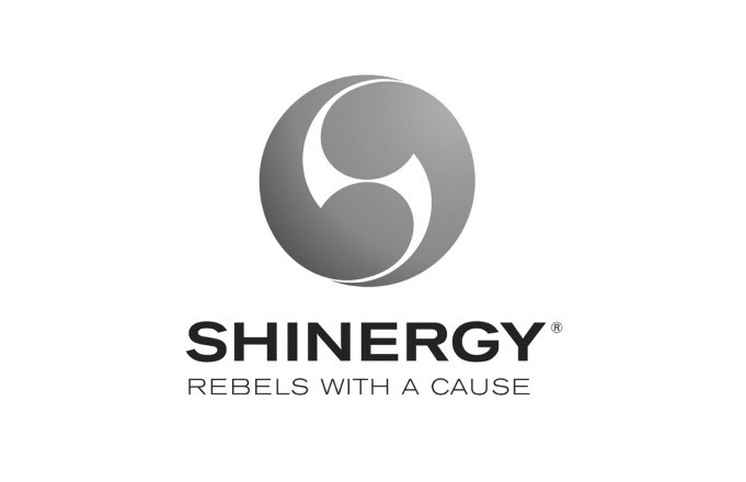 new story academy company shinergy