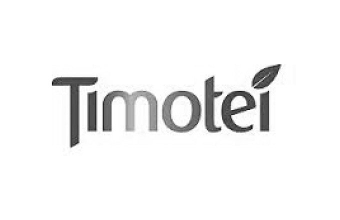 new story academy company timotei